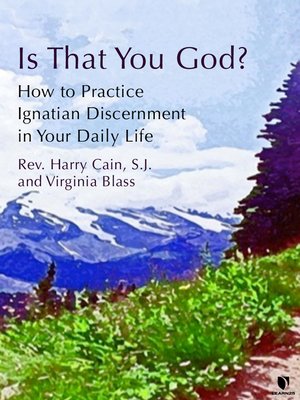 cover image of Daily Ignatian Discernment Practices